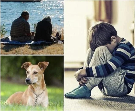 "Kompakt GPS-enhed med realtidssporing, let og diskret design, magnetisk montering, global dækning"